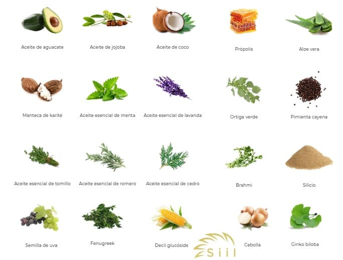 Ingredientes naturales para acabar con caída del cabello y recuperarlo